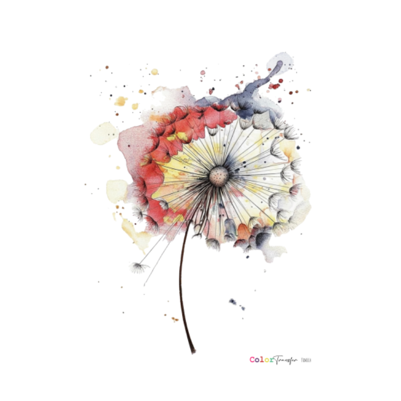 COLOR TRANSFER