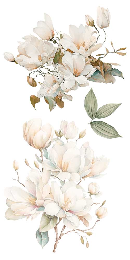 Decorative Transfers 15X30 - Imagen 6
