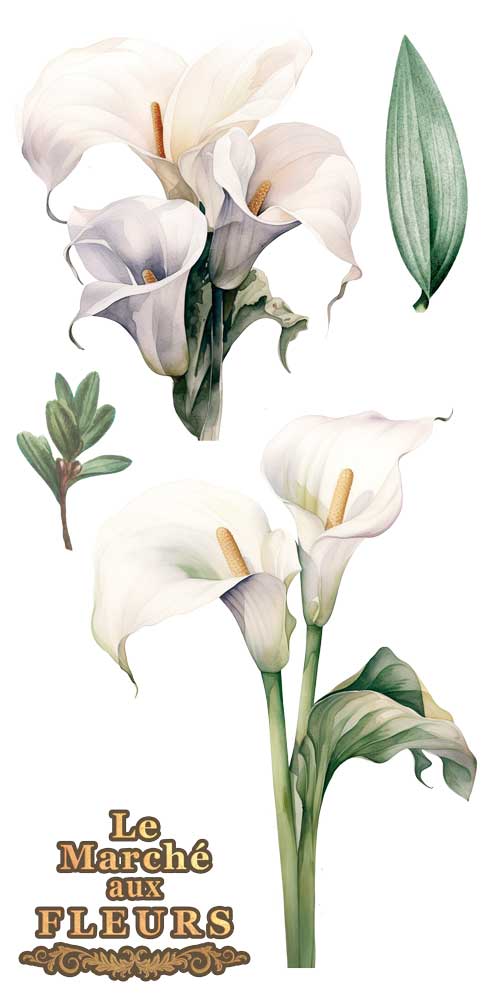 Decorative Transfers 15X30 - Imagen 6