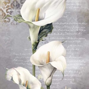 Papel de Arroz 54X33 La Vie En Fleurs Calla Lily IV