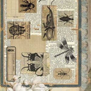 Papel de Arroz 54X33 Bug´s Garden II