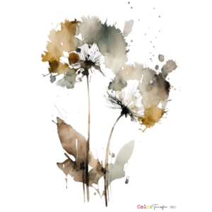 COLOR TRANSFER 27x21cm