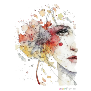 COLOR TRANSFER 27x21cm