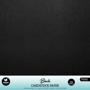 Cartulina 30X30 250 gr Negra