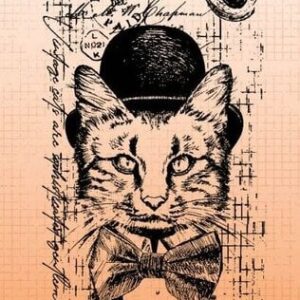 Sello Transparente Cat Gentleman