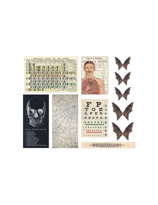 Tim Holtz idea-ology TRANSPARENCIAS HALLOWEEN - Imagen 2