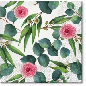Servilleta Eucalyptus