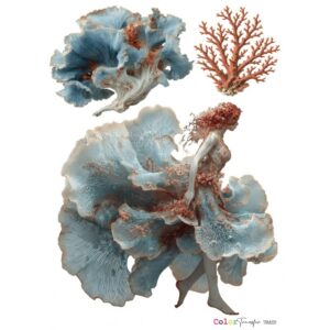 COLOR TRANSFER 27x21cm