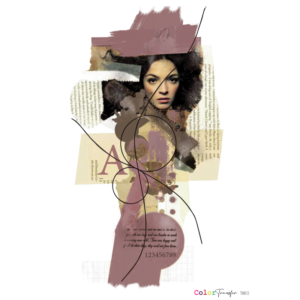 COLOR TRANSFER 27x21cm