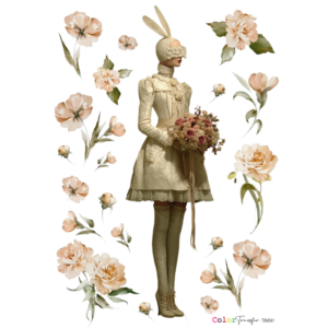 COLOR TRANSFER 27x21cm
