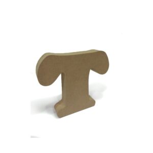 Letra DM - T (12x12x4 cm)
