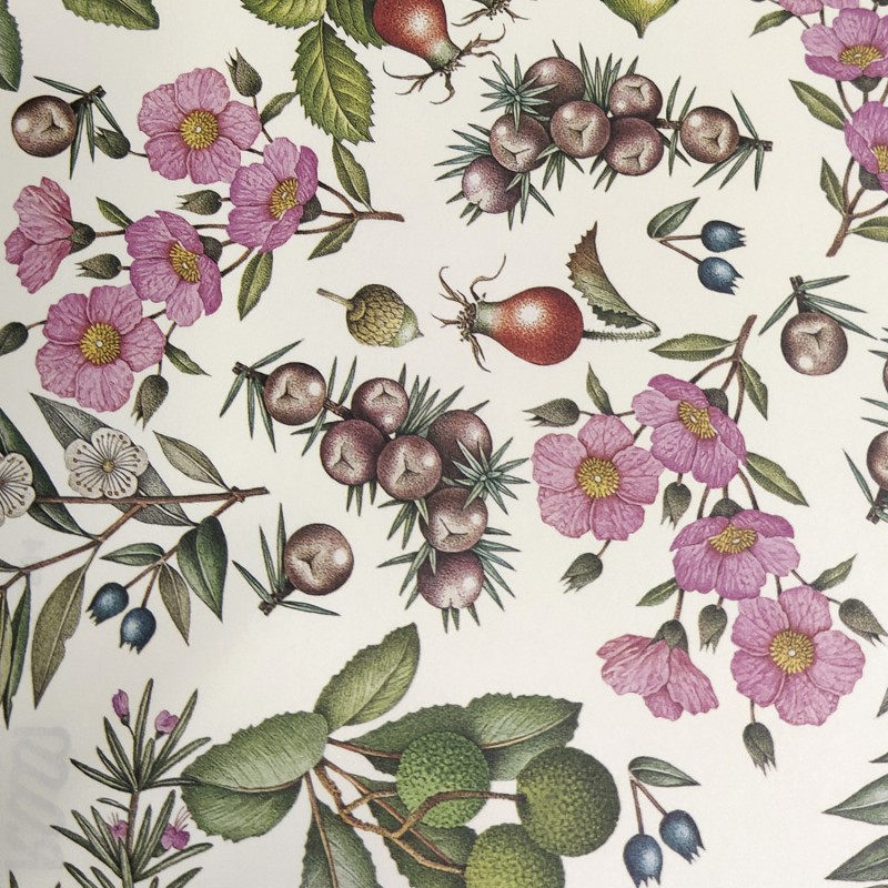 2 Papeles ROSSI Mediterranean Plants 70x100