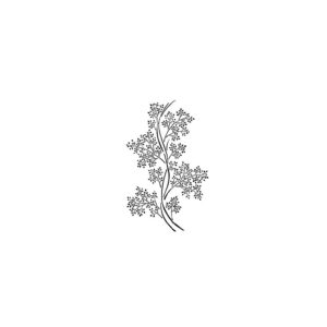 Stencil VEGETAL Cadence
