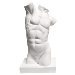 Torso masculino 43,5cm
