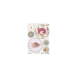 Papel de Arroz SOFT A3 CONCHAS 2
