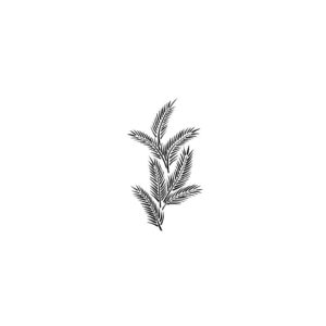 Stencil VEGETAL Cadence