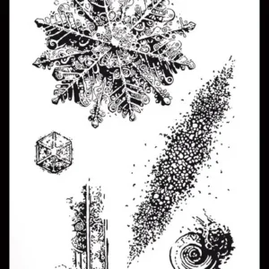 Frosted Charm 4x8 Inch Clear Stamp Set